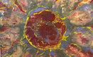 Abstract art with vibrant colors and textured patterns representing a sunflower. Original is a 16x20 inch flat canvas